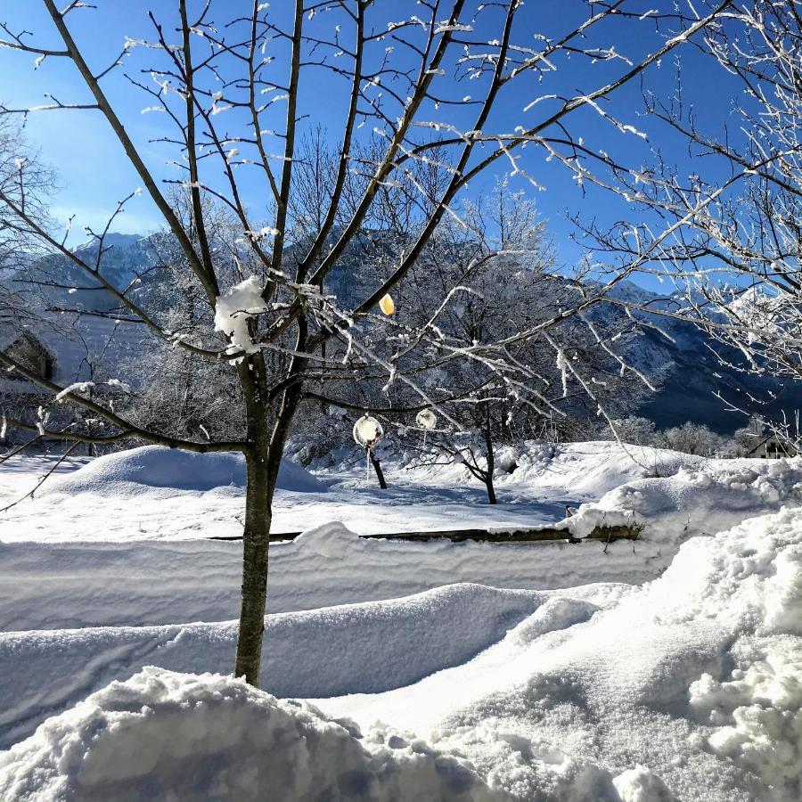Residence Aurora, Bohinj Dış mekan fotoğraf