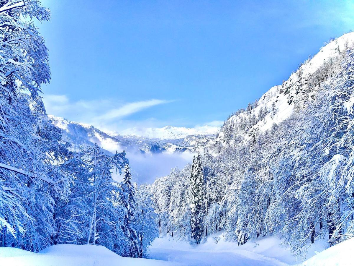 Residence Aurora, Bohinj Dış mekan fotoğraf