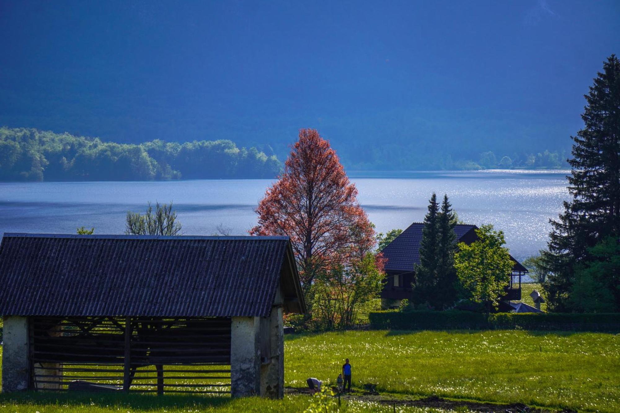 Residence Aurora, Bohinj Dış mekan fotoğraf